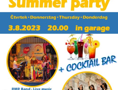 Summer party 3.8. live music and dance show