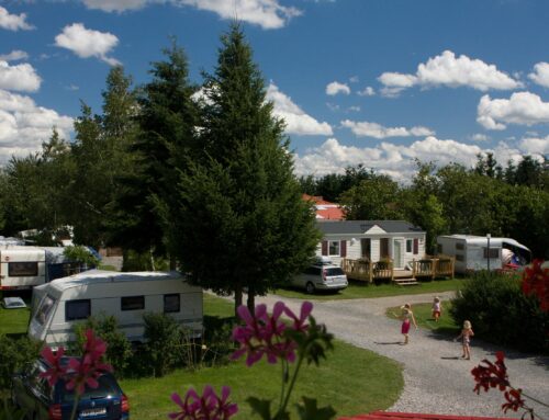 Specialtilbud – 14-dages arrangement med Camping Oase Praha